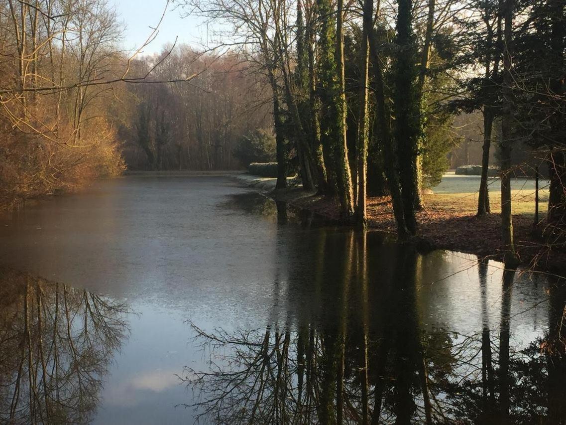 Chateau De Vitry-La-Ville المظهر الخارجي الصورة